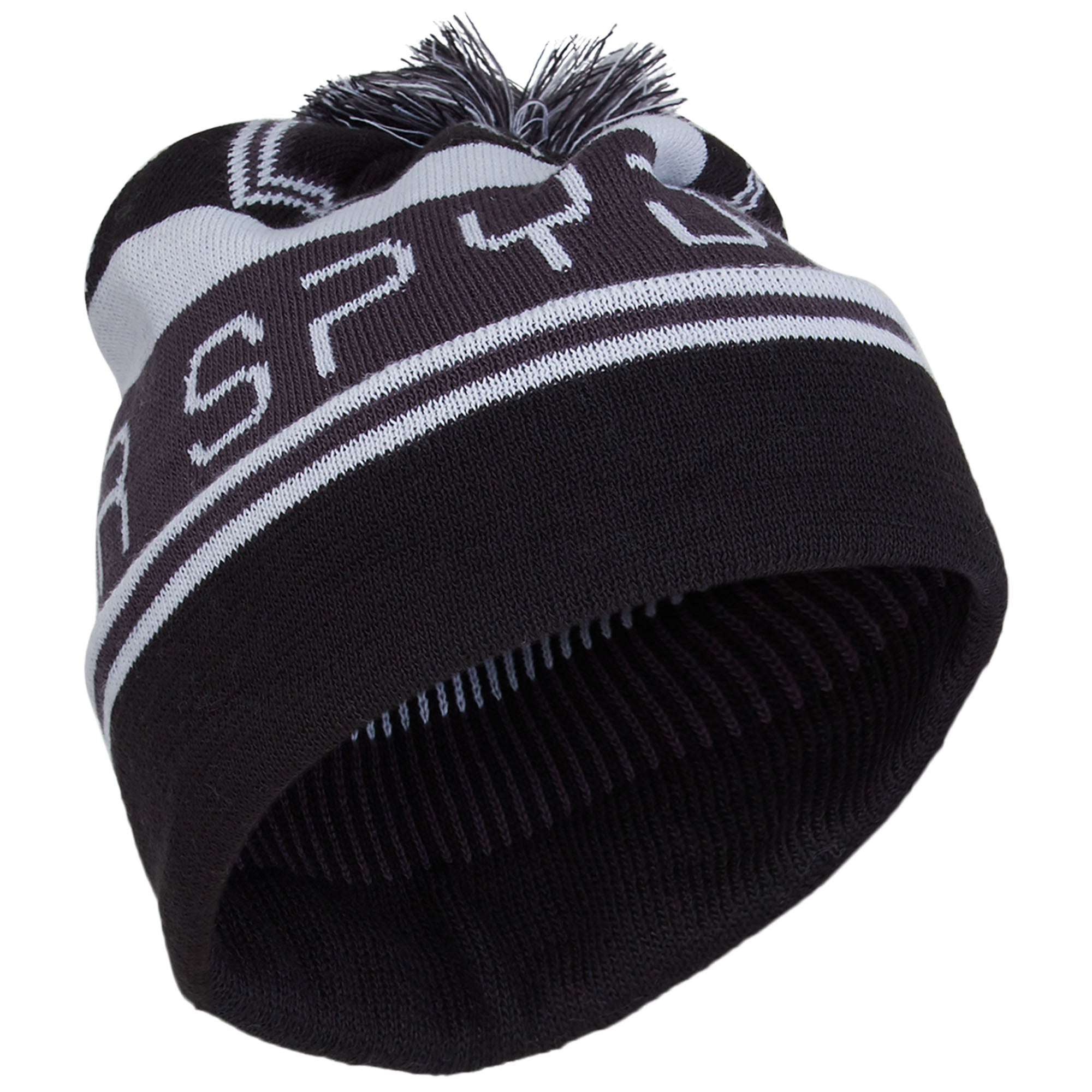 Spyder Men's Icebox Beanie
