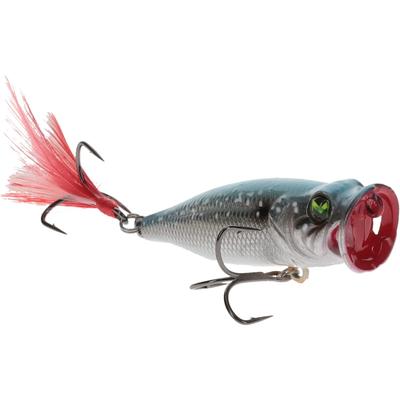 81100291 Sprayin Shad - 2.03 in. - Sexy Shad 2.0