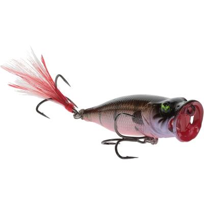 81100293 Sprayin Shad - 2.03 in. - Ghost Gill